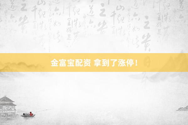 金富宝配资 拿到了涨停！