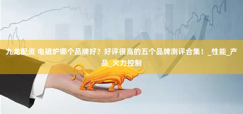 九龙配资 电磁炉哪个品牌好？好评很高的五个品牌测评合集！_性能_产品_火力控制