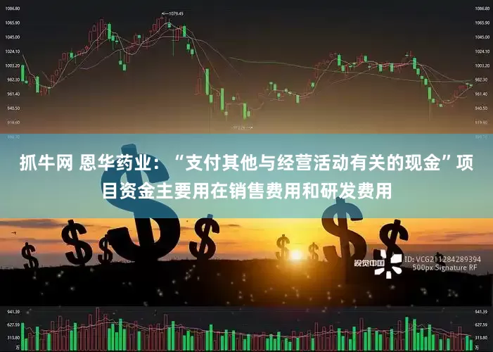抓牛网 恩华药业：“支付其他与经营活动有关的现金”项目资金主要用在销售费用和研发费用