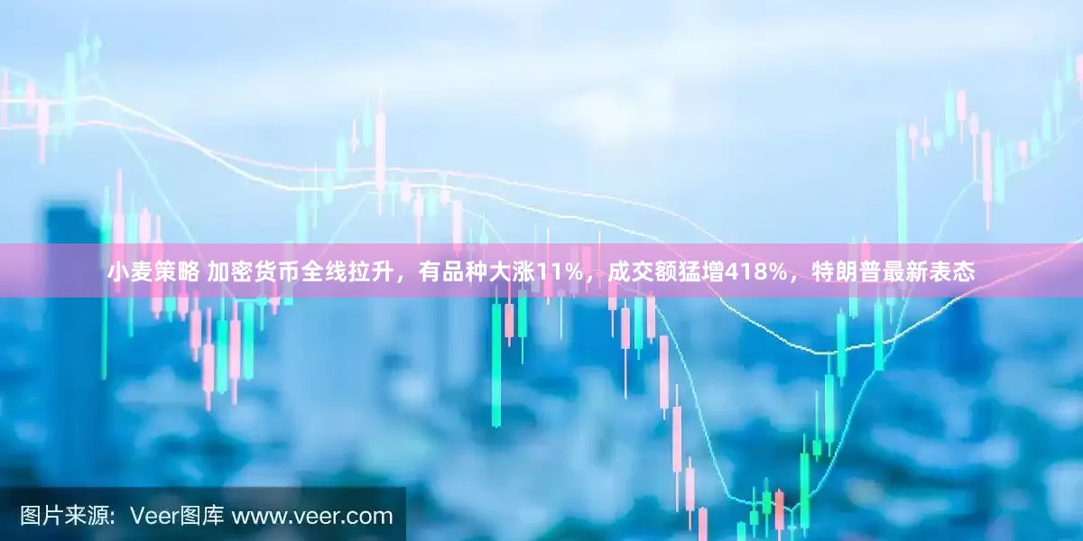 小麦策略 加密货币全线拉升，有品种大涨11%，成交额猛增418%，特朗普最新表态